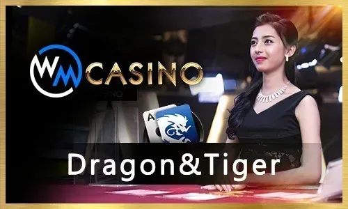 Live Casino Etiquette Guide